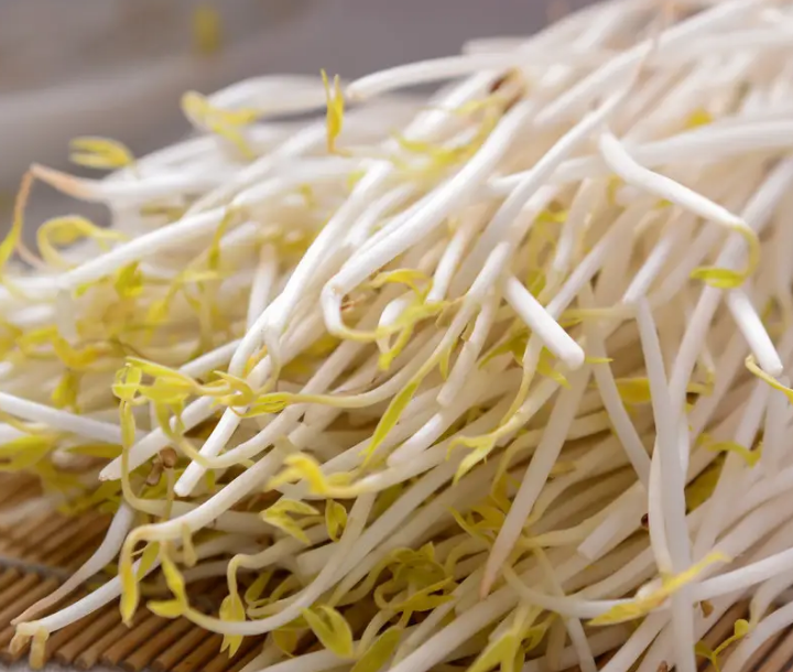 豆芽生意好做嗎