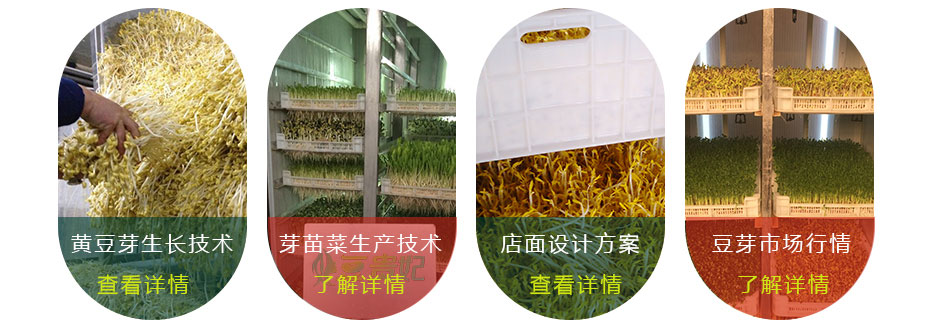 豆芽機怎么生產豆芽