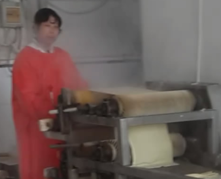 豆皮機怎么生產豆皮