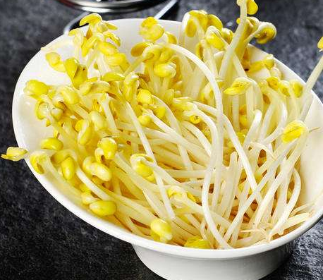 豆芽機生長的豆芽