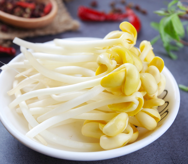 無公害豆芽機怎么育芽