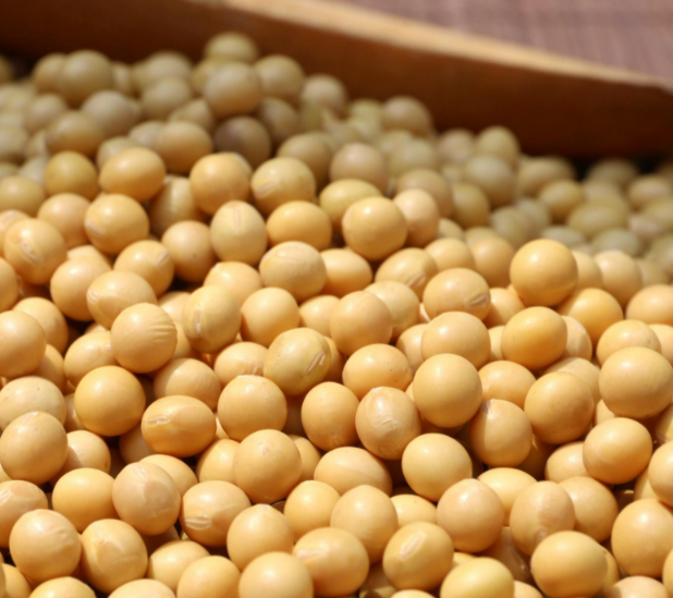 用豆皮機(jī)做豆皮應(yīng)該選用什么樣的黃豆