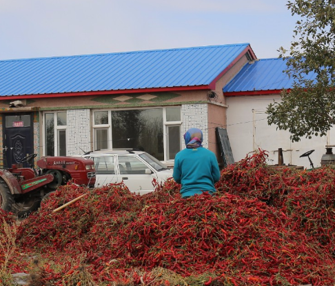 東北老鐵做豆腐