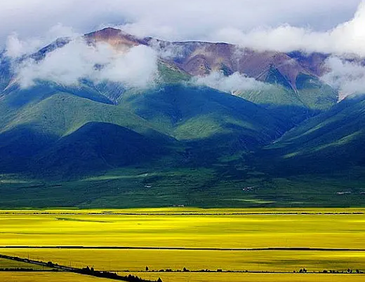 青海豆皮機(jī)